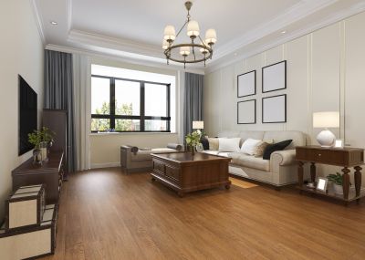 Hardwood Floor in Living Room